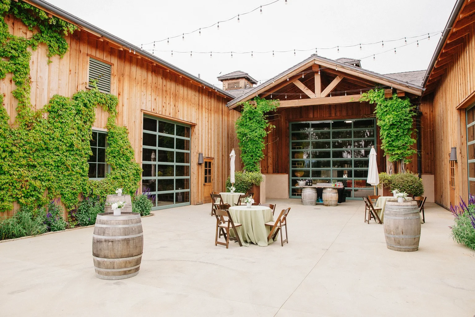 Wine barrels in cellar