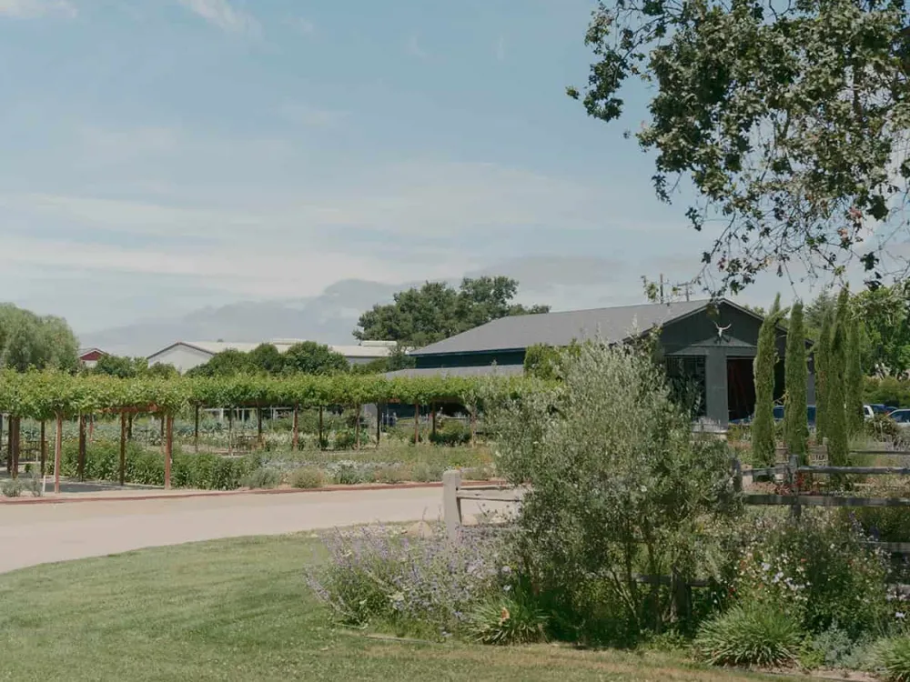 Agricultural fields and farm buildings